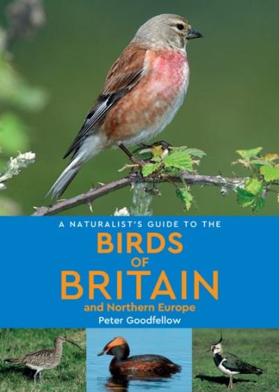 A Naturalist’s Guide to the Birds of Britain & Northern Europe